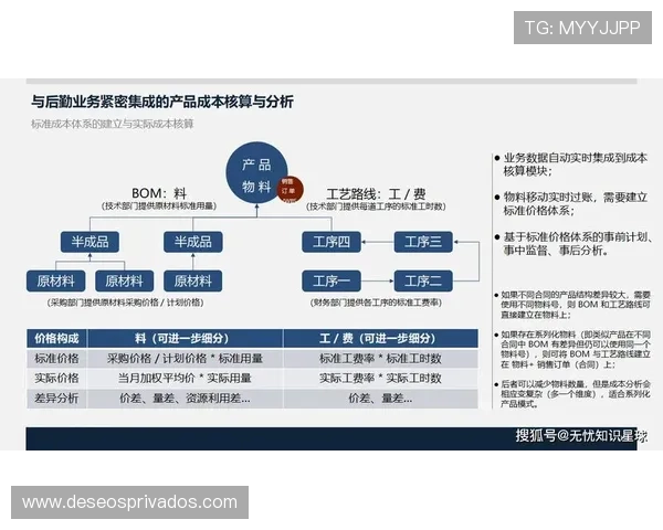 完美正规官网成为行业标杆，推动企业数字化转型迈向新高度