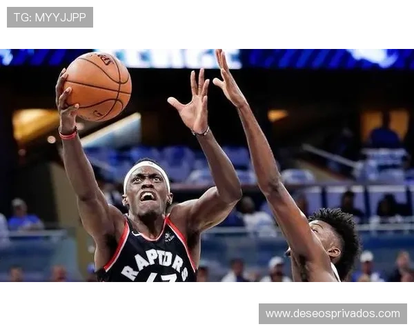 如何通过网易体育app官网获取实时体育比分和赛事数据详细介绍